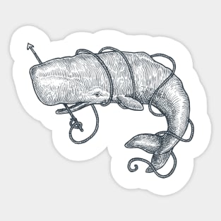 Harpoon Whale Sticker